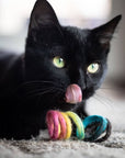 Black cat playing with a rainbow wool spring toy.