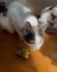 Kittles Catnip Cat Toy