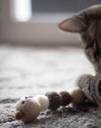 Cat playing with wool caterpillar toy.