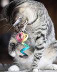 Gray cat playing with a rainbow wool spring toy.