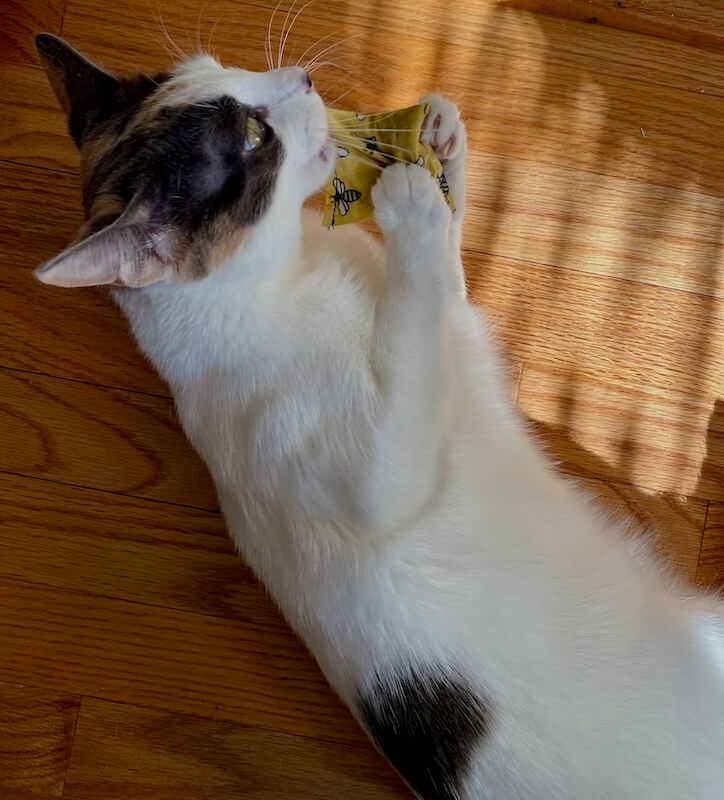 Kittles Catnip Cat Toy