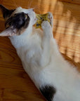 Kittles Catnip Cat Toy