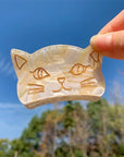 Cat Claw Hair Clips
