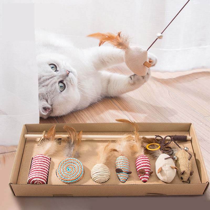 Cat playing with teaser mice and wooden sisal and feather toy box set.