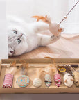 Cat playing with teaser mice and wooden sisal and feather toy box set.