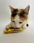 Cat playing with refillable pizza catnip toy.