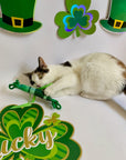 Cats playing with plaid kicker catnip toy with St. Patrick's Day decorations in the background. 