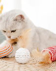 Cat playing with three wooden sisal and feather toys.