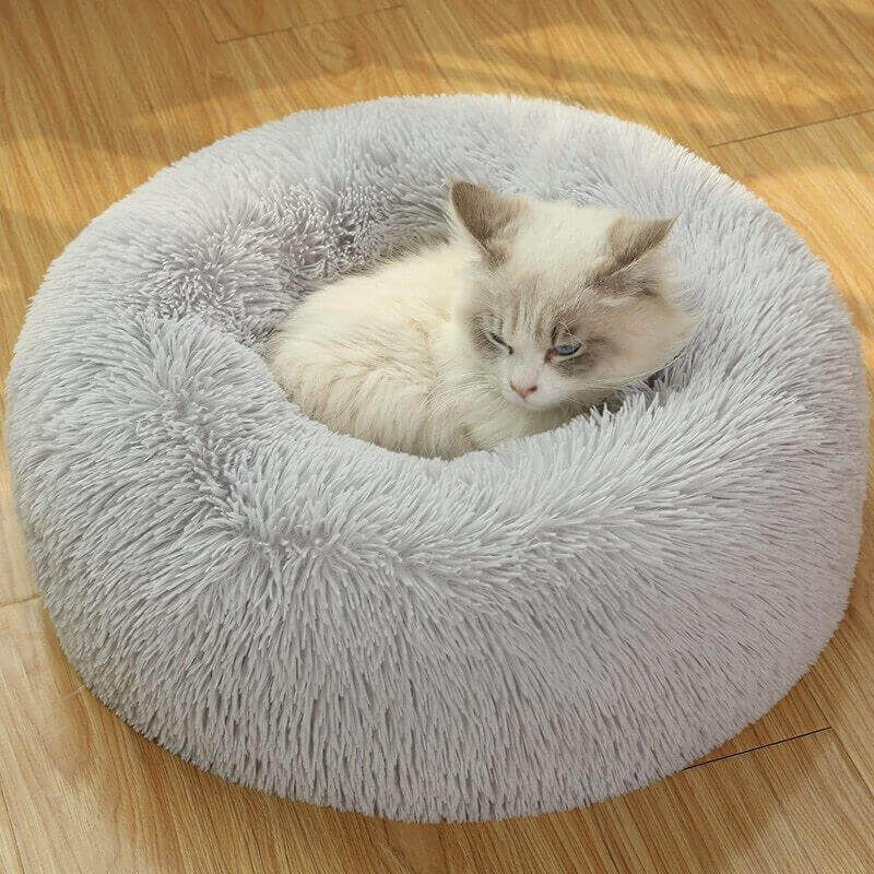 White cat sitting in gray donut plush bed.