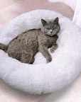 Gray cat sitting in white donut plush cat/dog bed.