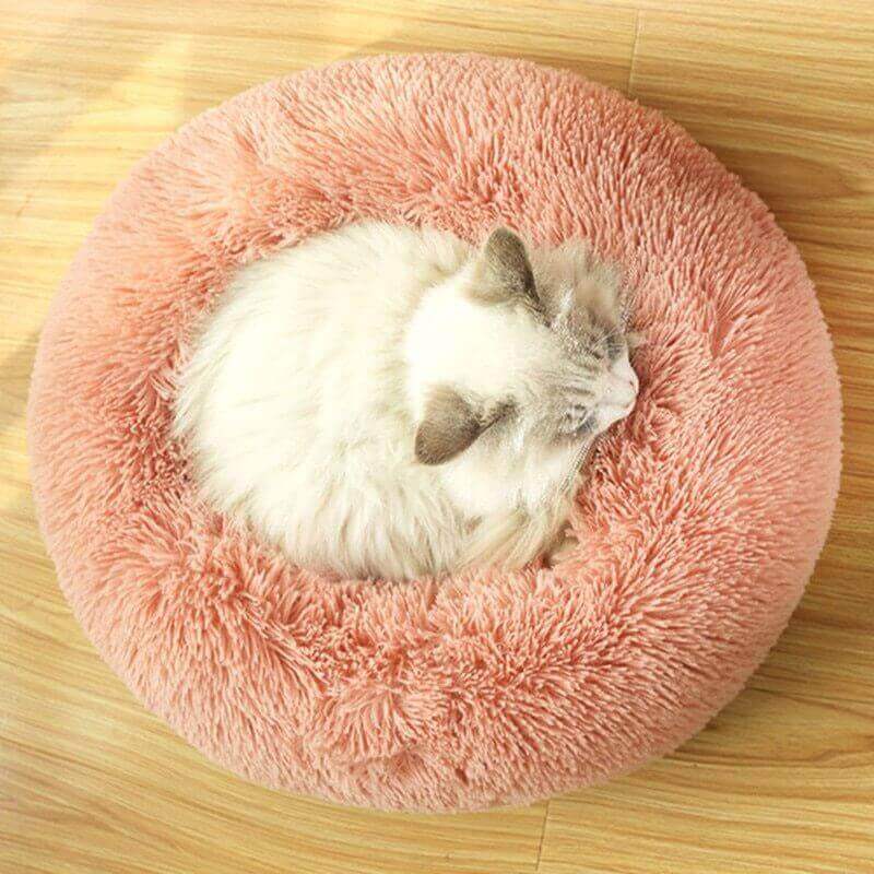 White cat sitting in blush donut cat bed.