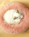 White cat sitting in blush donut cat bed.