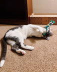 Cat playing with plaid kicker catnip toy.