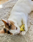 Kittles Catnip Cat Toy