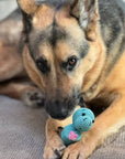 German Shepherd dog playing with knitted sea cow manatee squeaker toy.