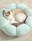 Cat napping on green flower blossom petal bed.